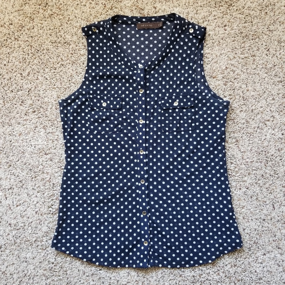 The Limited | Blue and White Blouse